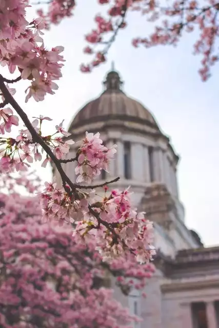 Supreme Court blocks an EPA plan to curb ozone air pollution