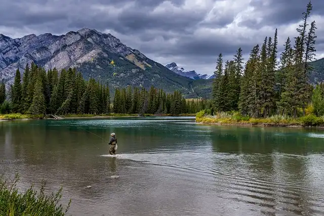 National Parks: Staffing Crisis & Operation Chance