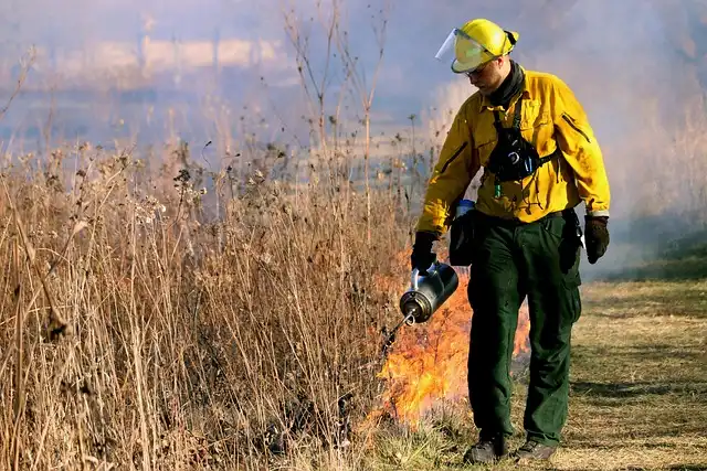 Federal Firefighters: Pay, Benefits, and the Families First Act
