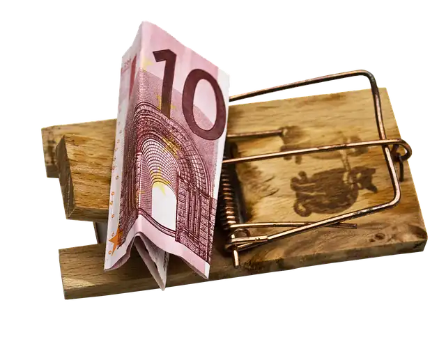 SNAP & Medicaid: States’ Burden, Federal Role, & Tech Solutions